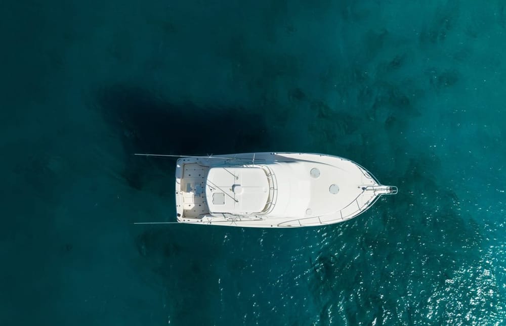 Lucky Penny from above, on clear green water
