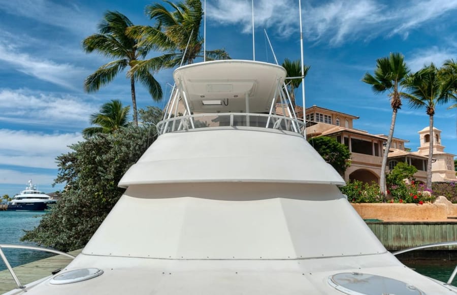The flybridge and tower, palm trees behind