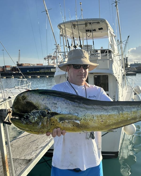 An angler holding a big mahi mahi beside the boat